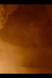 The Gold S01E01 XviD-AFG EZTV