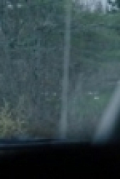 Farm Crime S01E05 WEBRip x264-KOMPOST [eztv]