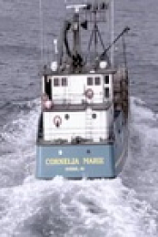 Deadliest Catch Bloodline S03E02 480p x264-mSD EZTV