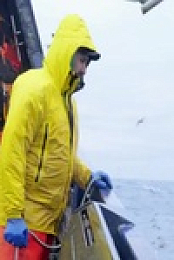 Deadliest Catch S18E11 480p x264-mSD EZTV