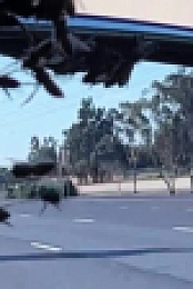 Road Wars 2022 S03E15 XviD-AFG EZTV