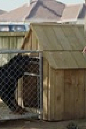 SPCA Rescue 2023 S01E04 XviD-AFG EZTV