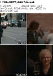 Work In Progress S01E01 720p HDTV x264-ToX mp4