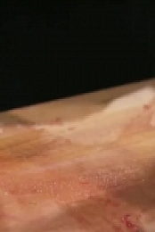 Chopped S43E01 So Sumac Me 480p x264-mSD [eztv]