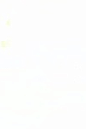 The Challenge S37E06 Alien 480p x264-mSD EZTV