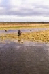 Countryfile S32E02 WEB H264-iPlayerTV [eztv]