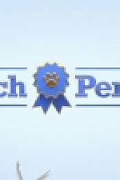 Pooch Perfect US S01E01 XviD-AFG EZTV