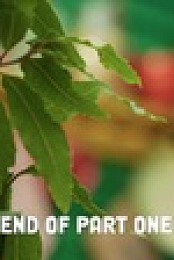 All Fired Up S02E06 XviD-AFG EZTV