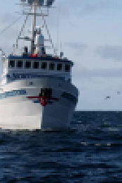 Deadliest Catch S20E03 XviD-AFG EZTV