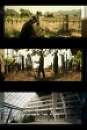 Star Trek Picard S01E01 iNTERNAL 1080p WEB H264-GHOSTS