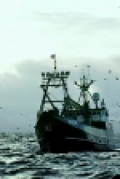 Deadliest Catch S14E05 Collision Void 720p WEB x264-CAFFEiNE[eztv]