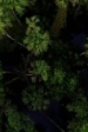 Naked and Afraid S10E11 WEB x264-TBS [eztv]