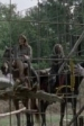The Walking Dead S10E14 720p WEB H264-XLF [eztv]