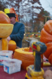 Outrageous Pumpkins S05E02 1080p WEB h264-FREQUENCY EZTV