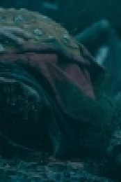 Vikings S06 COMPLETE WEBRip x264-ION10 EZTV