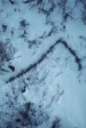 Life Below Zero S11E10 WEB x264-TBS [eztv]