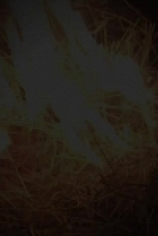 The UnXplained S03E02 480p x264-mSD EZTV
