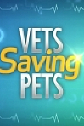 Vets Saving Pets S01E12 WEB x264-CookieMonster EZTV