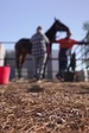 Back Roads S09E02 XviD-AFG EZTV