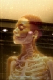 Bones S01E01 720p HDTV x264 REGRET rarbg