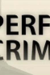 Perfect Crime