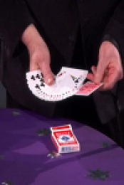 Stupid Pet Tricks S01E09 480p x264-mSD EZTV