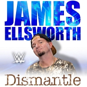 CFO$ - WWE: Dismantle (James Ellsworth) - Single [2018] [EDM RG]