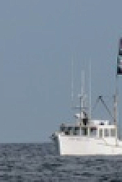 Wicked Tuna S12E10 1080p WEB h264-EDITH EZTV