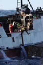 Deadliest Catch S18E07 720p HEVC x265-MeGusta EZTV