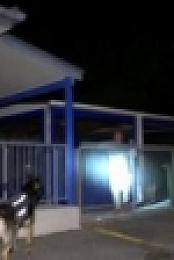 Dog Squad S10E08 HDTV x264-FiHTV [eztv]