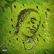 Young Thug - So Much Fun (2019)