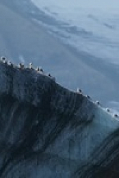 OceanXplorers S01E06 480p x264-mSD EZTV