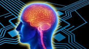 [ FreeCourseWeb ] Udemy - 8 Fun & Simple Mind Hacks to Sharpen Your Brain