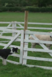 Prue Leiths Cotswold Kitchen S01E02 XviD-AFG EZTV
