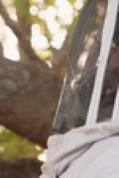 Bee Czar S01E02 Bee the Tree 720p WEBRip x264-KOMPOST EZTV