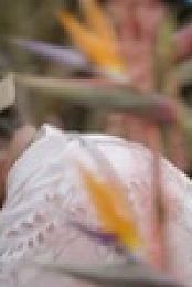 Table Wars S01E04 Nature Nuptials XviD-AFG EZTV