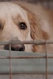 Barkley Manor S02E10 XviD-AFG EZTV