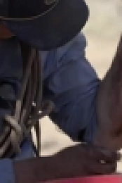 Outback Ringer S01E03 XviD-AFG EZTV