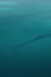 Primal S02E01 1080p HEVC x265-MeGusta EZTV