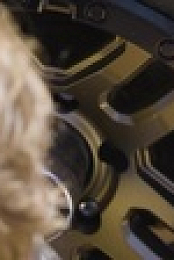 Fully Torqued S01E04 720p WEB h264-BAE EZTV