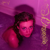 Stevie_Violet-Chrysalis-16BIT-WEB-FLAC-2026-ENRiCH