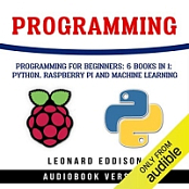 Programming - Leonard Eddison - 2019 (Technology) [Audiobook] (miok)