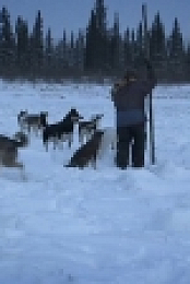 Life Below Zero S09E06 720p HDTV x264-DHD[eztv]