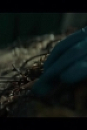 Swamp Thing 2019 S01E01 WEB x264-PHOENiX EZTV