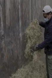 The Zoo US S05E02 Bouncing Troody 480p x264-mSD EZTV