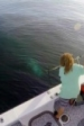 Wicked Tuna S08E07 Double Team 720p WEB x264-CAFFEiNE [eztv]