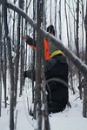 Life Below Zero First Alaskans S02E12 480p x264-mSD EZTV