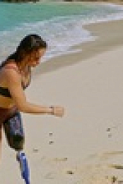 Survivor S43E01 1080p WEB h264-KOGi EZTV