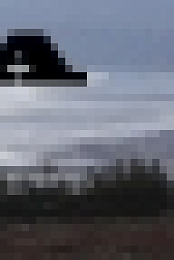 Alaska The Last Frontier S08E14 WEB x264-TBS[TGx]