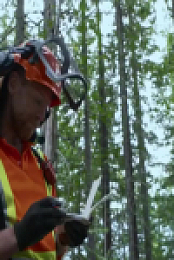 Timber Titans S01E06 480p x264-mSD EZTV